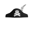 Pirate Hat