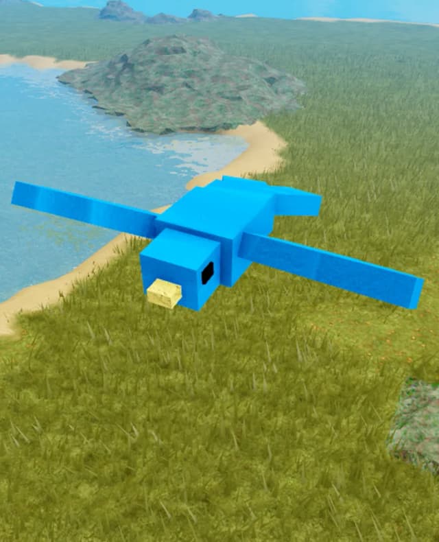 Bird