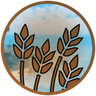 Novice Farmer