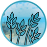 Pro Farmer
