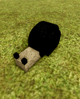 Coal Shelly