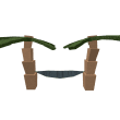 Hammock on Palm
