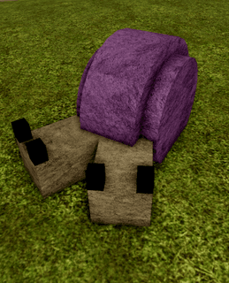 Odd Shelly