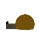 Am Gold Shelly