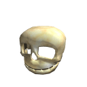 Skull Helmet