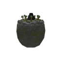 Jungle Egg